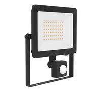 Eglo Projecteur LED extérieur Risacca-E, 4500 lumens, détecteur de