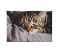 EgoMed Art mural, toile 7,8 x 11,8 pouces Peinture décorative Peinture murale pour salon, Petit chat qui dort
