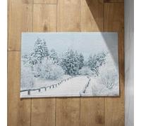 EHOMERY Tapis de Sol Camping Paillasson Interieur Lavable Scène de Neige Tapis de Bain XXL Grand Tapis D Entrée Intérieur 40x60cm, Paillasson en Coton Décoratif Antidérapant