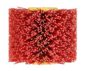 Einhell Original Brosse abrasive nylon 120 x 100 mm | pour ponceuse à brosse TP-BR 18/32 Li BL | nettoyage et ponçage | Ø 120 mm | largeur 100 mm