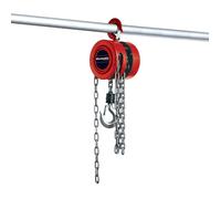 Einhell Palan à chaîne TC-CH 1000
