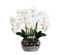 EIOLWJIEO Grand bonsaï d'orchidée Artificielle avec Vase Phalaenopsis réaliste Faux Plantes orchidées Fleurs Ornements de Mariage à la Maison, Jaune Clair Blanc
