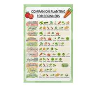 EKFBQBGW Raised Bed Companion Planting Poster | Learn which vegetables grow best together naturally(Framed,12x18inch(30x45cm))