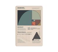 EKFBQBGW Vintage Mathematics Metal Sign Golden Ratio Phi Fibonacci Sequence In Nature Educational Print For Engineers Mathematicians Study 8 X 12 in