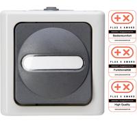 Interrupteur/inverseur Kopp 560756009 BlueElectric gris