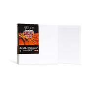 Elan Panneau Toile Peinture 20x20, Lot de 12 Toiles à Peindre 100% Coton Sans Acide, 280 GSM Carton Entoilé, Toile a Peindre, Canvas Toiles Peinture