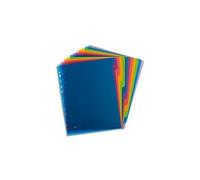 Elba Intercalaire School Life 12 Touches Translucide A4 Maxi, Coloris Assortis