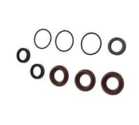 Eleage Kit de Joint de Pompe de Nettoyeur Haute Pression en Caoutchouc pour Annovi Reverberi, Protection Durable Contre Les Fuites pour Divers Modèles 9 Pièces