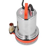 Eleage Pompe Submersible DC, Pompe à Eau Haute Performance en Acier Inoxydable pour L'irrigation des Terres Agricoles 300W 12V