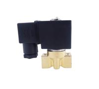 Électrovanne 2 voies en laiton G1/4" 220 V 110 V, orifice 4 mm/5 mm/6 mm(4mm,AC110V)