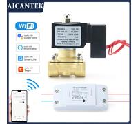 Électrovanne intelligente AC220V Tuya WiFi, 1/2 "3/4" 1 ", contrôleur de minuterie d'eau de jardin, prise en charge de l'assistant Alexa Google Smart life