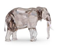 Elegance of Africa SCS Édition Annuelle 2022 Éléphant Fayola OS