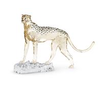 Elegance of Africa SCS Édition Annuelle 2023 Guépard Mehira OS