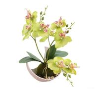 Élégante orchidée papillon artificielle en pot, 27 cm de haut, fleurs artificielles en plastique pour décoration de maison, mariage, rose rouge/violet/vert/blanc (vert)