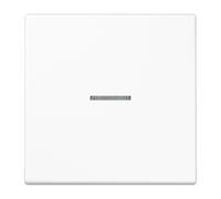 Jung eNet Bouton-poussoir deradio standard simple FM LS 1700 WW (FMLS1700WW)