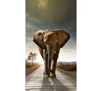 Elephant, Rideau Imprimé 140x245 Cm, 1 Part - Enfants