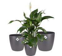 Elho Brussels Rond - Pot De Fleurs pour Intérieur - 3 pièces - Plastique 100% recyclé - Ø 16, 18, 20 cm - Anthracite