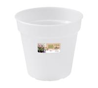 Elho Green Basics orchidée 13cm - Transparent/Transparent