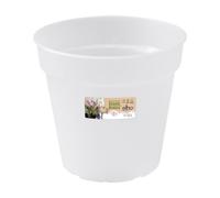 Elho Green Basics orchidée 13cm - Transparent/Transparent