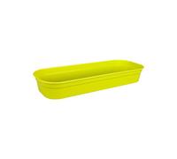 Elho Green Basics Plateau De Culture 51 - Accessoires pour Intérieur, Extérieur, Culture & Récolte - Ø 51.5 x H 7.5 cm - Vert/Lime Vert