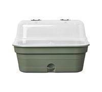 Elho Green Basics Plateau De Culture Allin 1 M Jardinière - Leaf Green | L 18 x W 32 x H 13.2 cm | Soucoupe Intégrée | Plastique 100% recyclé