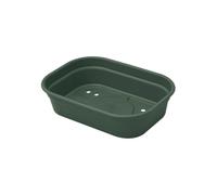Elho Green Basics Plateau De Culture 24 - Accessoires pour Intérieur, Extérieur, Culture & Récolte - Ø 24.0 x H 6.0 cm - Vert/Leaf Green