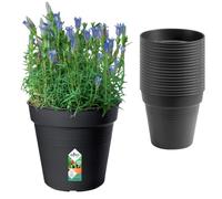Elho Green Basics Pot Culture 15 | Lot de 20 Pots de Fleurs - Living Noir | Ø 15 x H 29 cm | 20 Pièces Incluses | Plastique 100% recyclé