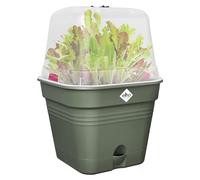 Elho Green Basics Pot De Cult Car Allin 1 15cm - Leaf Green | L 15 x W 15 x H 12.1 cm | Soucoupe Intégrée