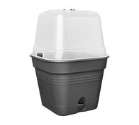 Elho Green Basics Pot De Culture Carré Allin1 30 - Pot De Fleurs pour Culture & Récolte - Plastique 100% recyclé - Ø 29.6 x H 24.9 cm - Noir/Living Noir
