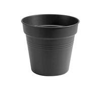 Elho Green Basics Pot De Culture 15 - Pot De Fleurs pour Intérieur, Extérieur, Culture & Récolte - Ø 15.0 x H 13.9 cm - Noir/Living Noir