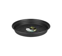 Elho Green Basics Soucoupe 17 - Soucoupe pour Intérieur, Extérieur, Culture & Récolte - Ø 17.0 x H 2.3 cm - Noir/Living Noir