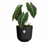Elho Jazz Rond - Ø26 cm - Couleur au choix