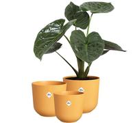 Elho Jazz Round Pot de Fleurs - Pot de Plantes d'Intérieur - Plastique 100% Recyclé - Structure Unique - Lot de 3 - Ø 14, 16, 19 cm - Jaune/Jaune Ambré