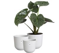 Elho Jazz Round Pot de Fleurs - Pot de Plantes d'Intérieur - Plastique 100% Recyclé - Structure Unique - Lot de 3 - Ø 14, 16, 19 cm - Blanc/Blanc Soie