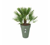 Elho Loft Urban - Ø34 cm - Plastique