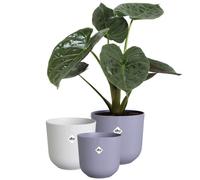 ELHO Lot de 3 pots de fleurs rond Jazz - Ø14xH13,1, Ø16xH15,3, Ø19xH17,6 cm - 7 L - Lila et Blanc