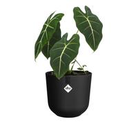 Elho Jazz Round Ø 26cm - Pot de Fleurs d'Intérieur - Plastique 100% recyclé - Structure Unique - Ø 26 x H 24.2 cm - Noir/Living Noir