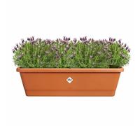 Elho Pot rectangulaire - 65 x 20 x 18 cm - Marron