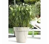 Elho Pure 60 - Ø59 cm - Couleur unie