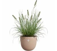 Elho Sereh Rond 30 - Ø29,5 cm - Plastique