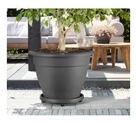 Elho Planttaxi Universel Soucoupe avec Roues, Anthracite, 40 cm