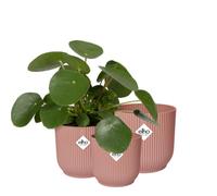 Elho Vibes Fold Rond - Pot De Fleurs pour Intérieur - Plastique 100% Recyclé - Lot de 3 - Ø 14, 16, 18 cm - Rose/Rose Poudré