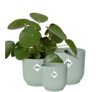 Elho Vibes Fold Rond - Pot De Fleurs pour Intérieur - Plastique 100% Recyclé - Lot de 3 - Ø 14, 16, 18 cm - Vert/Sorbet Green