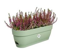 Elho Vibia Campana Balconnière 50 - Planteur pour Balcon - Ø 49.0 x H 17.0 cm - Vert/Vert Pistache