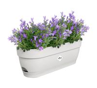 Elho Vibia Campana Balconnière 50cm - Blanc Soie