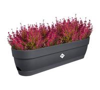 Elho Vibia Campana Balconnière 70 - Planteur pour Balcon - Ø 69.0 x H 17.0 - Anthracite