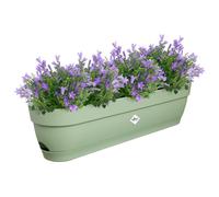 Elho Vibia Campana Balconnière 70cm - Vert Pistache