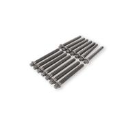 ELRING 850.250 Jeu de vis de culasse