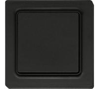 Eltako Bouton poussoir sans fil ant/matt 55x55mm F2T55E-am (30055718)