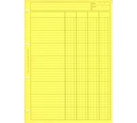 BLOC AUDIT 4 COL.+ EN-TETE 297X210 80 P. JAUNE DOSSIER RECTO
